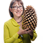 Icon for: Victoria Coats