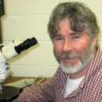 Icon for: Jeff Chiarenzelli